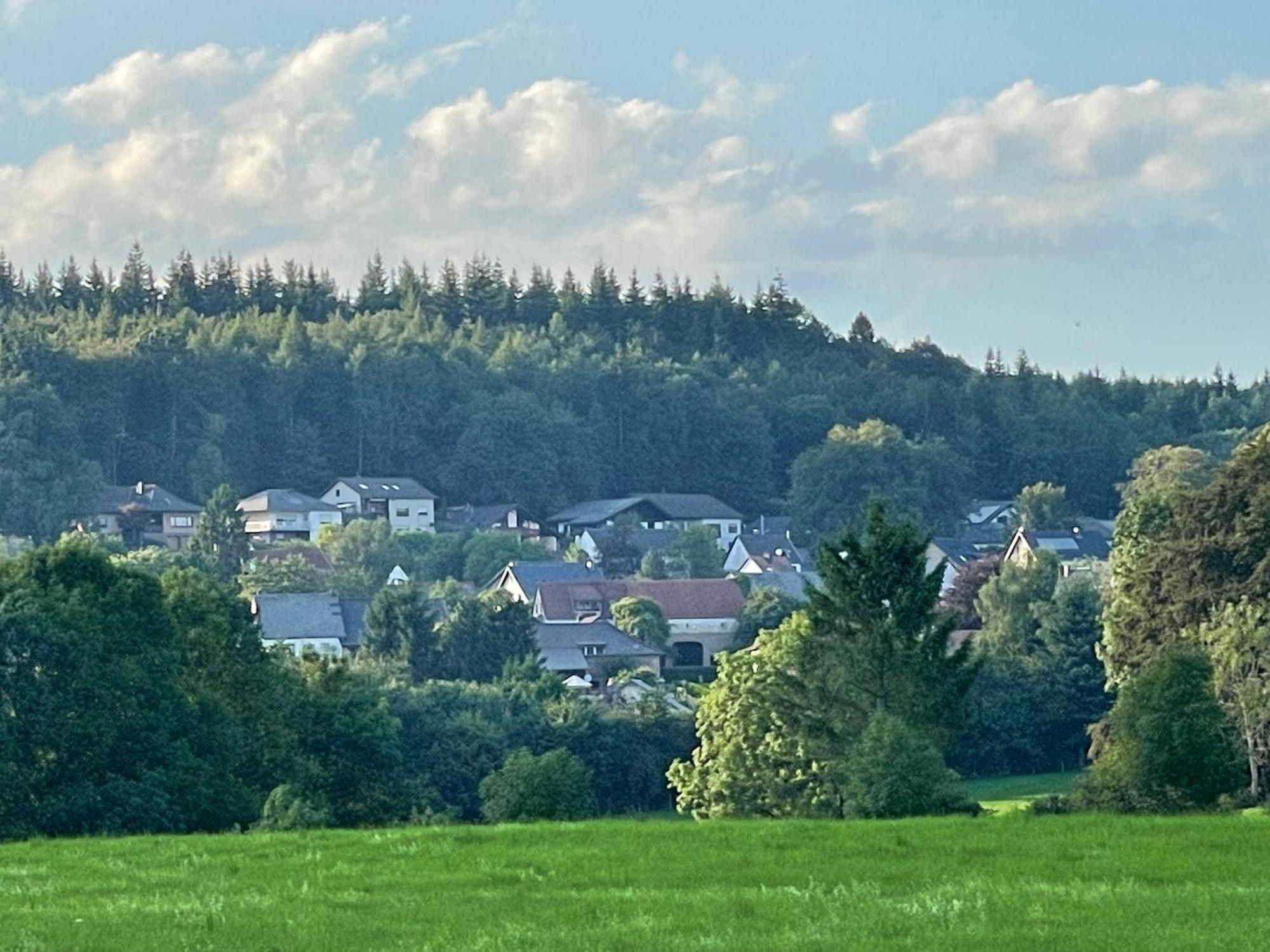 Ferienhaus Eifelblick Feusdorf Extérieur photo